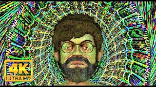 Terence McKenna DMT Experience In The Chrysanthemum 4K Visuals [upl. by Kenay296]