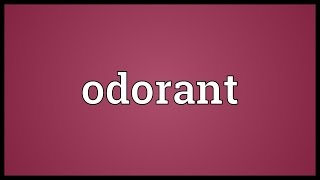 Odorant Meaning [upl. by Orihakat64]