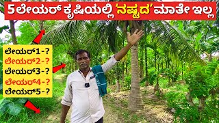 Five layer farming in Karnataka  best crops in Kannada  agriculture ideas  Bannur Krishnappa [upl. by Zipnick]