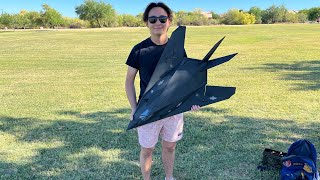 I Made a RC F117 Nighthawk And It Actually Flew [upl. by Coleville]