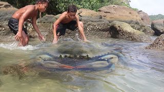 Wilderness Food Caught Mother Blue Crab [upl. by Nileek]