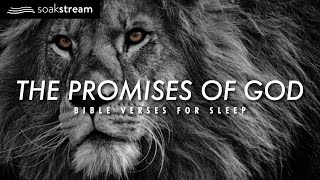 The Promises of God  Bible Verses For Sleep [upl. by Odetta282]