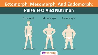 Ectomorph Mesomorph And Endomorph Pulse Test And Nutrition [upl. by Ahselet870]