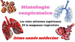 HISTOLOGIE RESOIRATOIRELes voies aériennes superieurs la muqueuse respiratoire 2éme année médecine [upl. by Moreville]