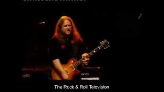 GOVT MULE  Soulshine [upl. by Heidy]