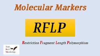 RFLP  Molecular Markers  Hindi [upl. by Octavius737]