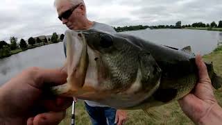 Small Whopper Plopper Catches Big Largemouth in Pond [upl. by Aneekahs]