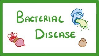 Atherosclerosis  Circulatory System and Disease  NCLEXRN  Khan Academy [upl. by Naamann376]