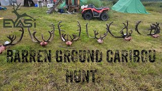 ALASKA BARREN GROUND CARIBOU HUNT IT GETS CRAZY [upl. by Amlus831]