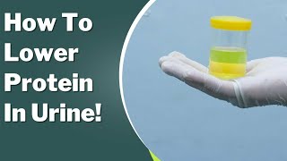 Proteinuria Treatment How to Lower Your protein in Urine [upl. by Elumas]