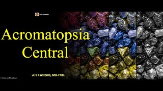 Acromatopsia Central Agnosia Visual [upl. by Llenrahs]