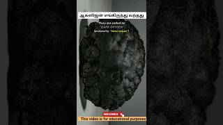 ஆக்ஸிஜன் எங்கிருந்து வந்தது  oxygen  Science Facts  Tamilgeopoliticsarul facts shorts oxygen [upl. by Regen]