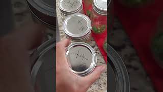 Making Spicy Salsa with Hand CRPS CRPS [upl. by Anuayek]