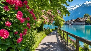 Peaceful Morning Walk in Swiss Town Interlaken Switzerland 🇨🇭Top Travel Destination [upl. by Ardnoel]