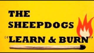 The Sheepdogs  Learn amp Burn [upl. by Vevay396]