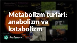 Metabolizm turlari anabolizm va katabolizm  Energiya va fermentlar  Biologiya [upl. by Aserehtairam]