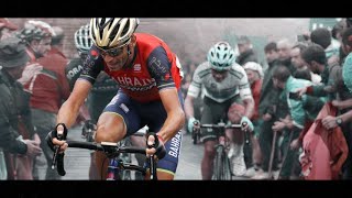 Vincenzo Nibali 2017 I Best Of [upl. by Rennob741]