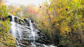 Fall Colors  Tour de Amicalola Falls and Chattanooga [upl. by Frazer]