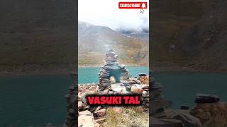 Story Of Vasuki Nag 😲🙏🏻  Vasuki Nag Kahan Rahata Hai  🤔  shorts mahadev kedarnath [upl. by Nhguav]