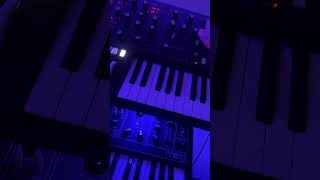 POV Analog Synth Jam mikedean travisscott synth synthesizer analogsynthesizer producer moog [upl. by Goss]