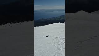 Eine Rutschpartie auf dem Vulkan Osorno 2652m in Chile abenteuer chile nature zuzweit glück [upl. by Siri]