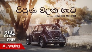 Pipunu Malaka  පිපුණු මලක හැඩ  Cover by Thiwanka Mihiran [upl. by Garrot]