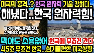 “해냈다한국 원자력힘” 한국 원자력의 힘에 미국이 충격받은 상황한국의 의리에 폴란드가 반한 상황 l 막아도 한국에 무조건 간다 “45조원을 둘러싼 한국과 미국의 놀라운 상황 [upl. by Fari]