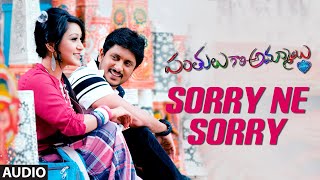 Sorry Ne Sorry Audio Song  Panthulu Gari Ammayi  Krishna Ajay Rao Shravya  Telugu Movie Songs [upl. by Aidnyl123]