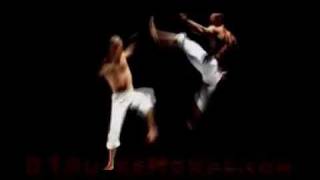 The Best Capoeira Video Ever [upl. by Noevart378]