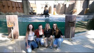 PLUSH Tour Vlog 4  Phoenix AZ Zoo [upl. by Elkin952]