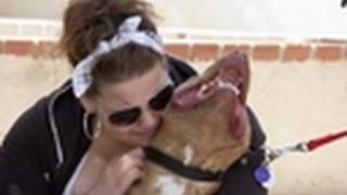 Pit Bull and Owner Reunited  Pit Bulls amp Parolees [upl. by Pesvoh]