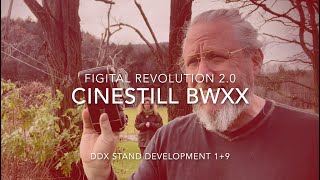 CineStill BWXX DDX 19 Stand Development [upl. by Eniamrehc897]