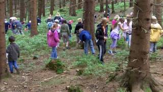 Schatzsuche im Harzer Edelsteinwald [upl. by Yzeerb]