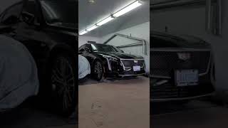 Cadillac CT6V BLACKWING COLD START [upl. by Sybille355]