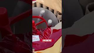 Firework fireworks christmas pyrotechnics funny 4thofjuly shorts trending viralvideo [upl. by Nyrat]