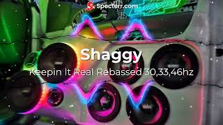 Shaggy  Keepin It Real Rebassed 303346hz [upl. by Ydassac339]