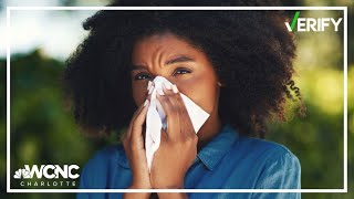 Was allergy season worse than ever in 2024 VERIFY [upl. by Ennaihs]