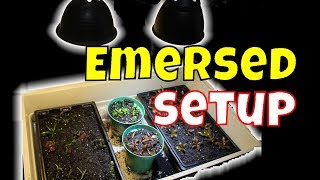 Emersed Aquarium Plants Setup 🌿 Trial run [upl. by Nodnyl180]