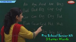 3 Letter Words  Three Letter Phonics Words  Sight Words  School Leaning [upl. by Alick75]