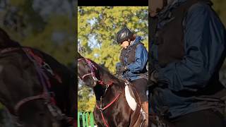 🐎25 Mile Competition❗️ enduranceracing gopro equestrian endurancehorse enduranceride helmetcam [upl. by Nylra]