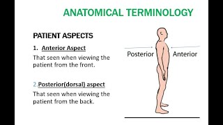 Radiographic Positioning [upl. by Kerekes486]