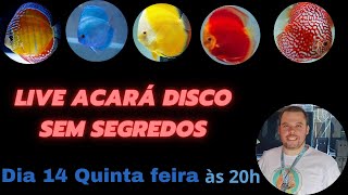 Acará disco sem segredo live [upl. by Einohpets]