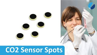 CO2 Sensor Spots – Integrate the Carbon Dioxide Sensor into a Vessel [upl. by Yenaled269]