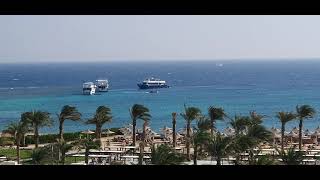 Hotel Iberotel costa mares Marsa Alam 2023 [upl. by Lundquist]