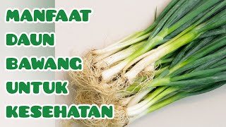 MANFAAT DAUN BAWANG BAGI KESEHATAN  BENEFITS OF LEEKS FOR HEALTH [upl. by Edme]