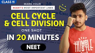 Cell Cycle and Cell Division Class 11  Biology  For NEET  Full Revision In 20 Minutes [upl. by Aneehsit]