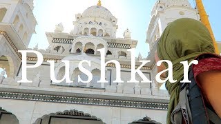 14 THINGS TO DO IN PUSHKAR  PUSHKAR TRAVEL GUIDE  INDIA VLOG [upl. by Yerok]