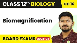 Class 12 Biology Chapter 16  Biomagnification  Environmental Issues 202223 [upl. by Estes]