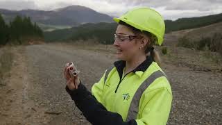 Silviculture at OneFortyOne New Zealand [upl. by Annohsak645]