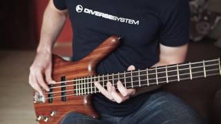 Dave Brubecks quotTake Fivequot bass coverplaythrough with solo [upl. by Tallia]